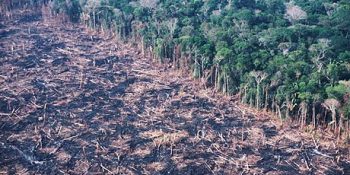 Her Saniye Gerçekleşen 10 İlginç Olay