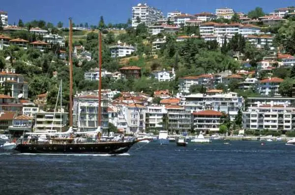 Bebek