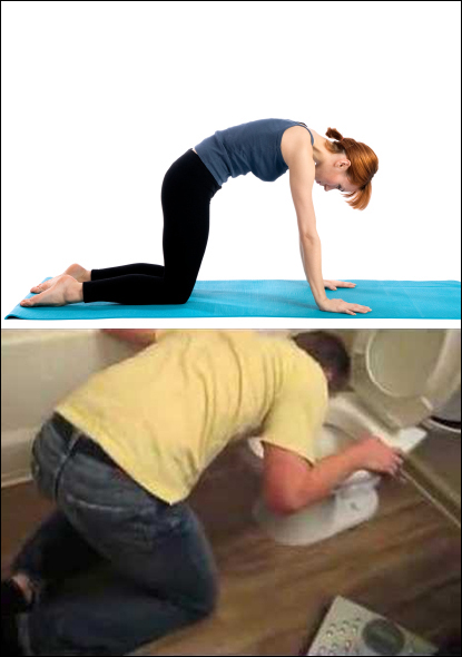 marjariasana-yoga-pose