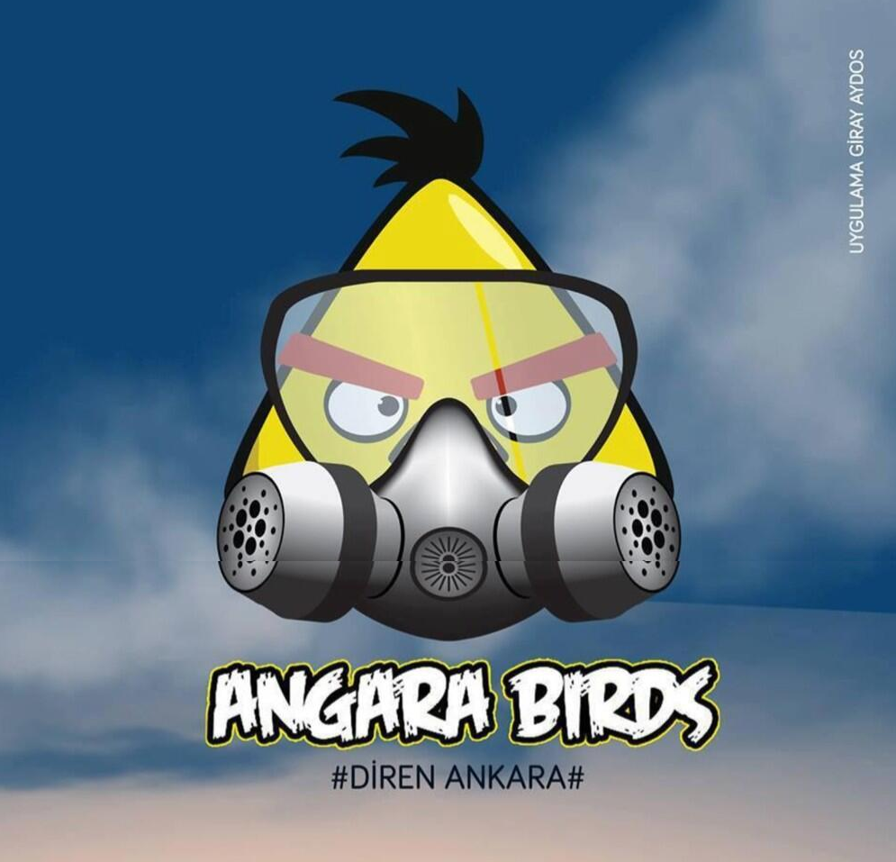 angara-birds-diren-la-angara