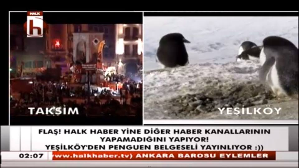 halk-tv-penguen-ataturk-havalimani