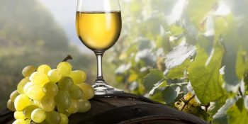 Dünyanın En Kaliteli Şarap Üzümleri