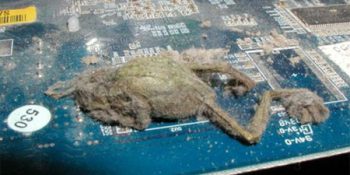 Bilgisayarınızı Camdan Aşağı Attıracak En Kirli Bilgisayar Kasaları