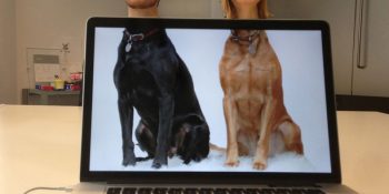 Ofiste Deneyiniz: Can Sıkıntısıyla Yaratıcılığın Buluştuğu 13 Kare