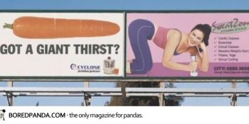 Verilen Mesajın Yalan Olduğu En Talihsiz 14 Açıkhava Reklamı