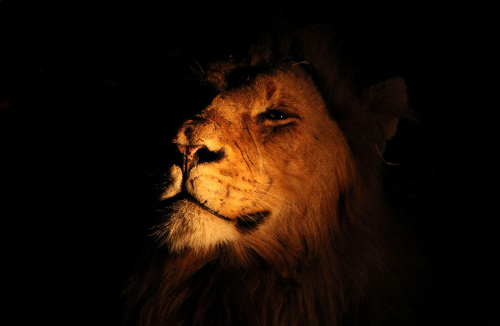 National Geo fotoğraf yarışması (17)