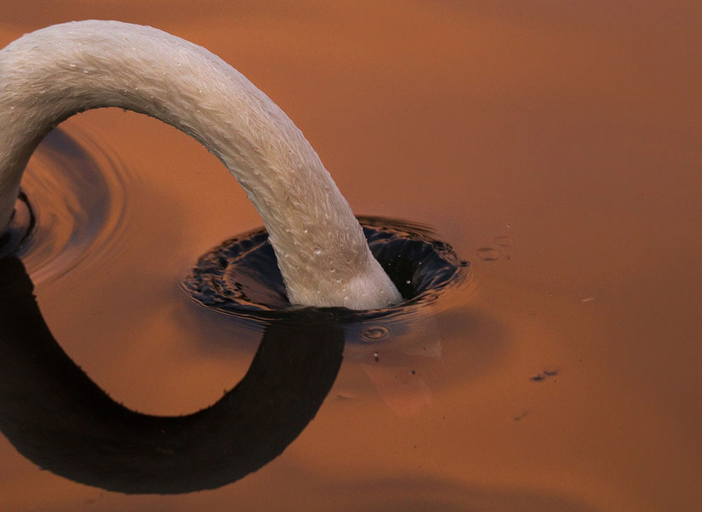 National Geo fotoğraf yarışması (33)