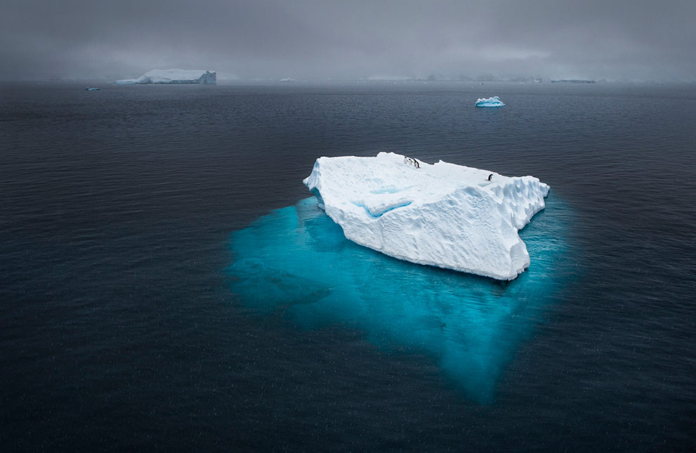 National Geo fotoğraf yarışması (36)