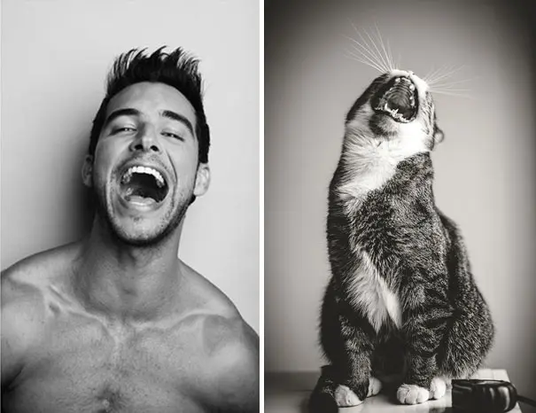 bagiran-manken-kedi