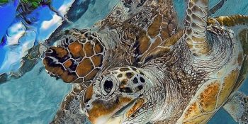 Balık Gözü Kamerayla Fotoğrafı Çekilen 29 ”Vay Anasını” Anı