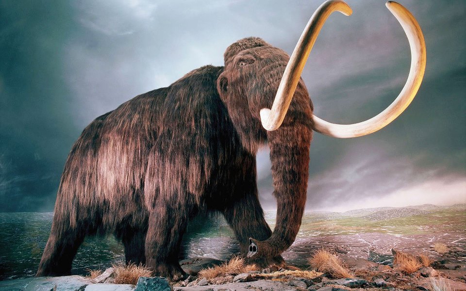 mamut-geri-donuyor