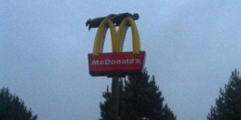 İnsanlığa Olan İnancınızı Kaybettirecek 20 Garip İnsan