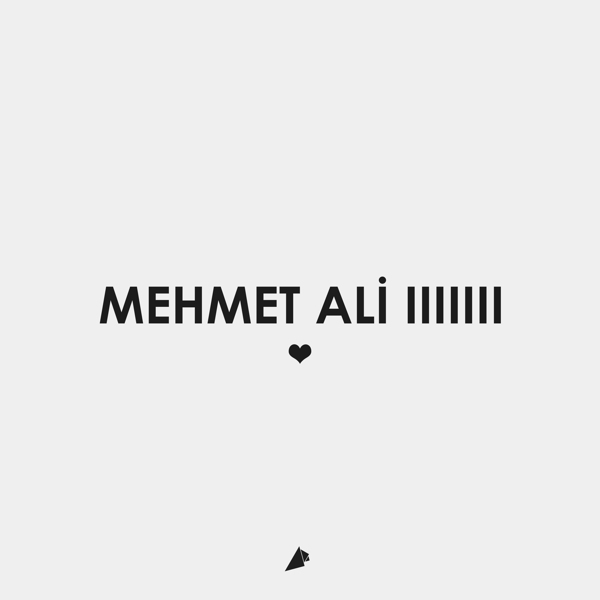 mehmet-ali-erbil-tipografi