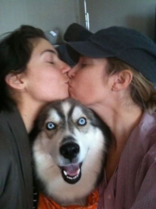 sevimli köpekler (11)