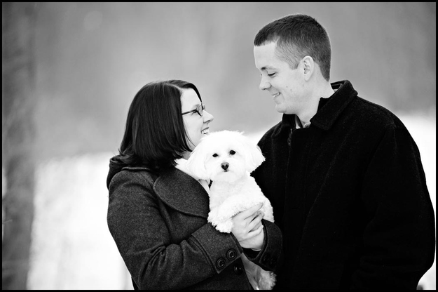 sevimli köpekler (3)