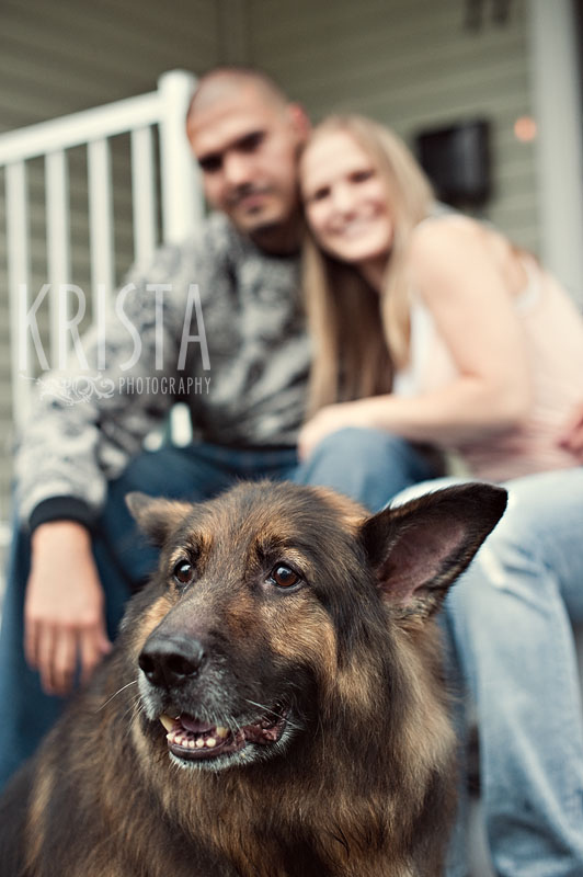 sevimli köpekler (4)