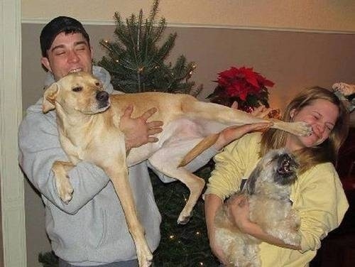 sevimli köpekler (5)