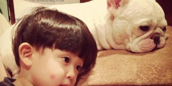 Bir Çocuğun En Yakın Arkadaşı Neden Bir Köpek Olmalıdır?