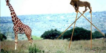 Güneş Dik Açı Yaparken Yeni Aya Sormuyor: Haftalık Burç Yorumunuz