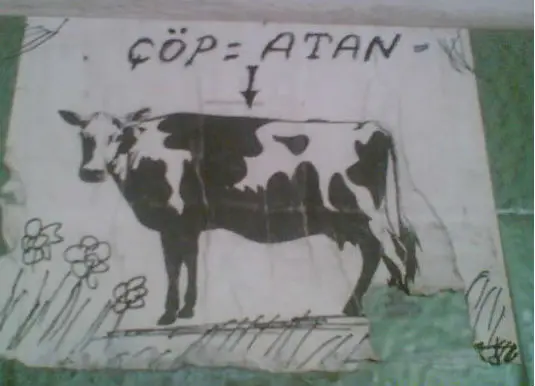 cop-atan-hayvan