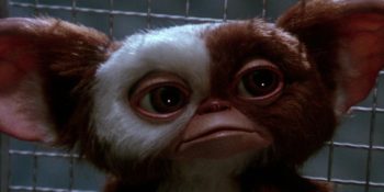 Korkutmaktan Çok Güldüren 13 Korku Filmi