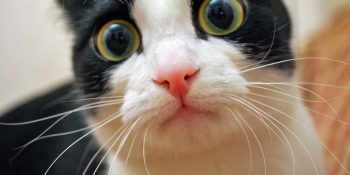 İnternette Ne Yazık ki Bu Hafta da Denk Geleceğiniz 15 Fotoğraf