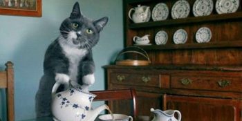 ”Oldu O Zaman Ben Bi’ Çay Koyayım” Denilecek 11 An