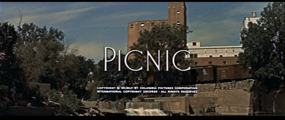 25.-kare-piknik-filmi