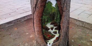 Belki Şurada Küçük Bir Kovuk Vardır: Ağaç Kovuğu Boyama Sanatı