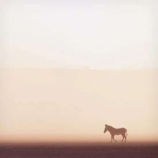 at-fotografi-minimalist