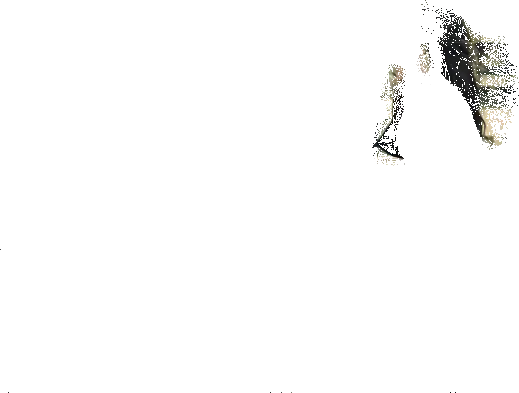 atlama-ablacim-atlama-cinemagraph