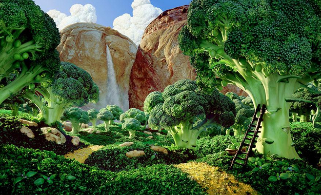 brokoli-ormani-gida-manzaralari