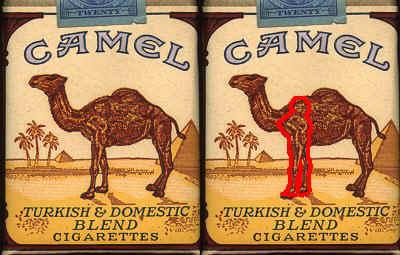 camel-25.kare-bilincalti