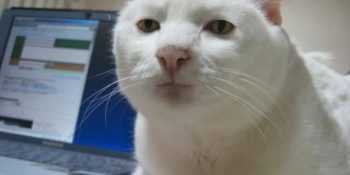 Arkadaşlarınız Evlendiğinde Yüzleştiğiniz 15 An