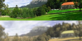 İnsan Gözü vs Kedi Gözü: Kediler Dünyayı Aslında Nasıl Görür?