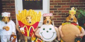 Sahiplerinin Kafaları Kuvvetle Muhtemel Güzel Olan 18 Hayvan