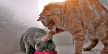 Annelerin Kulaklarımıza Kazınan En Klişe 32 Repliği