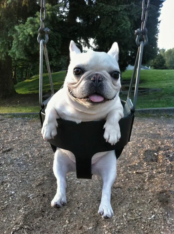 sir charles