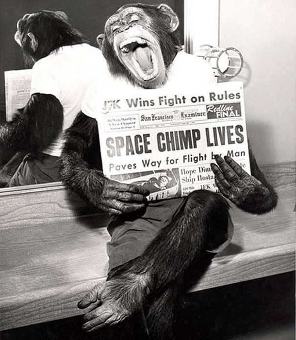 uzaya-gonderilen-maymun-1961