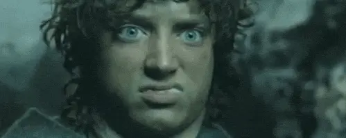 yuzuklerin-efendisi-tepki-gif