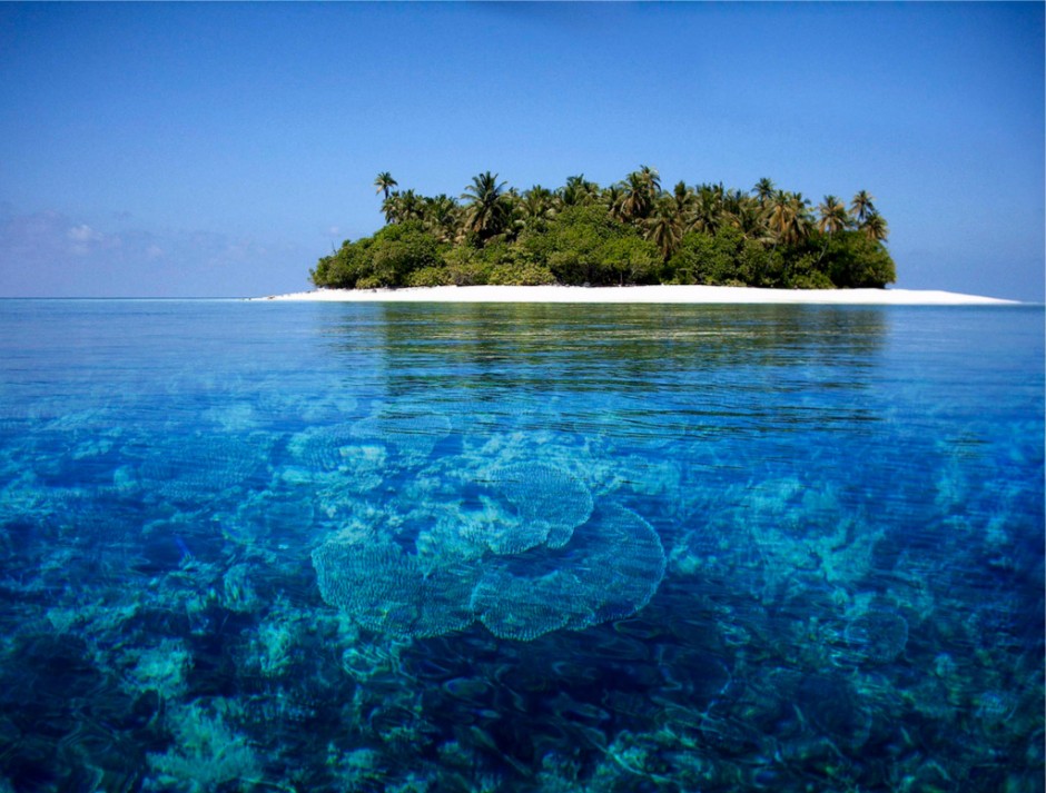 dunyanin-en-temiz-denizleri-maldivler