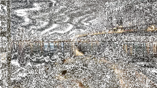 isikli-gif-gosterisi