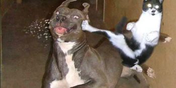 Hakkı Kötek Olan 30 İnsan Evladı