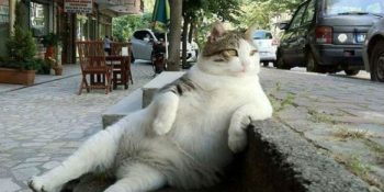 Tembel Olduğunuzu Anlamanız İçin 42 Kanıt