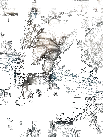 179858_v1