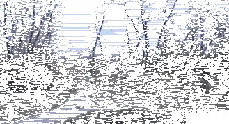 bisikletten-ucmak