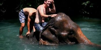 Çalışan İnsanı Kudurtacak Nispet Dolu Kısa Film Projesi