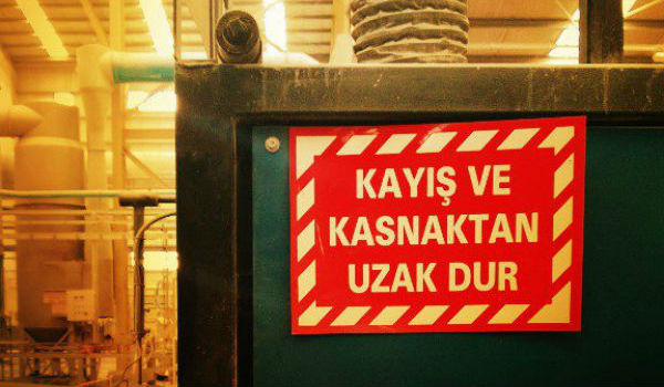 kayıs-kasnak