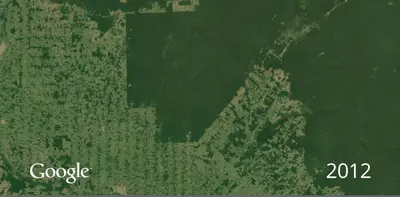 Brazilian Amazon Deforestation