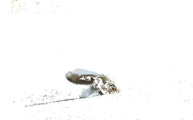 adanali-kar